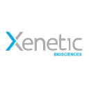 XBIO (Xenetic Biosciences Inc) company logo