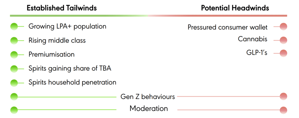 Diageo (DEO), az előnyök és a hátrányok összesítve