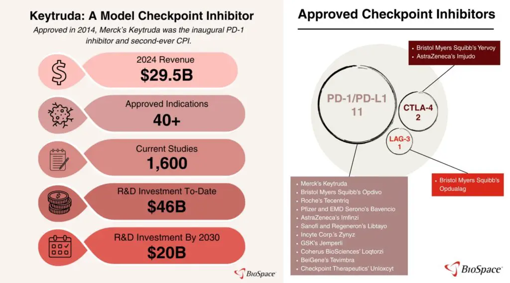 a Merck & Co. (MRK) a Keytrudájával versenyző gyógyszerek a piacon